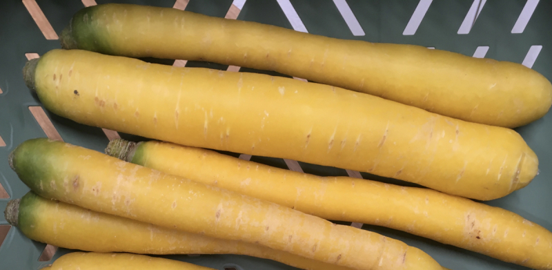 Gelbe Rüben BIO - Pabneukistl - Regional Einkaufen